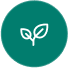 Experience Logo